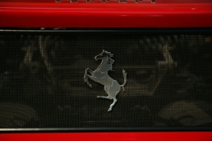 f5-IMG_6811