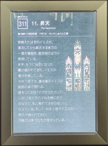 11c.IMG20231029102352_front