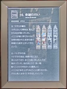 16c.IMG20231029102437_front