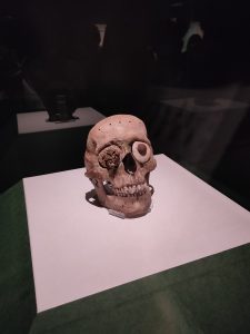 s-19x-IMG20230816135419
