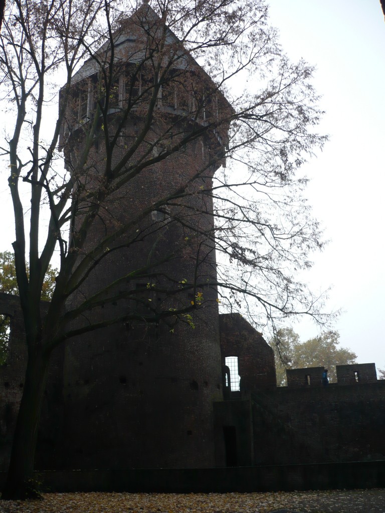 P1030662