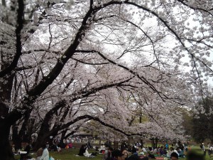 IMG_20160403_140945