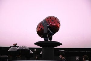 IMG_1081a