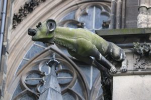 IMG_0145