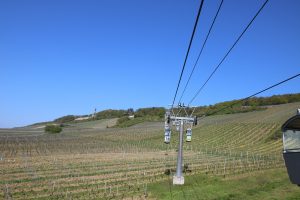 IMG_0306