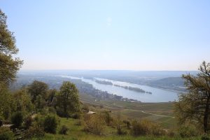 IMG_0315