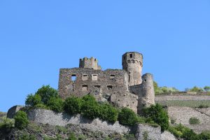 IMG_0384