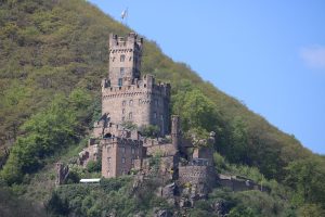 IMG_0407