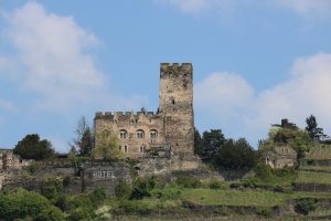 IMG_0435
