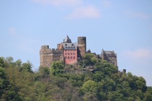 IMG_0444