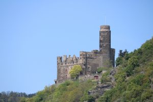 IMG_0479