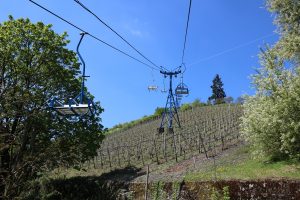 IMG_0530