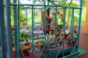 s-IMG_1580
