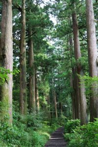 s-IMG_1599