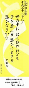 s-SCN_0029